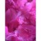 Kitcheniva 1 Ounce Bag Fluffy Bright Pink Marabou Feathers Costume Crafts
